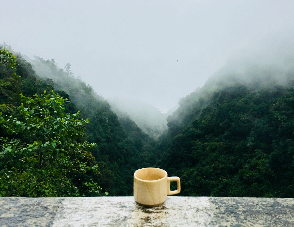 Benefits of using a reusable coffee mug vs a paper cup